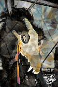 CoyoteSkull_2187-s.jpg