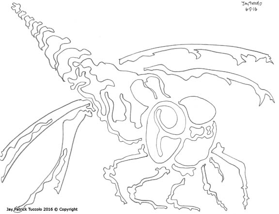 Dragonfly, Pencil, Jay P. Tuccolo 7-2016