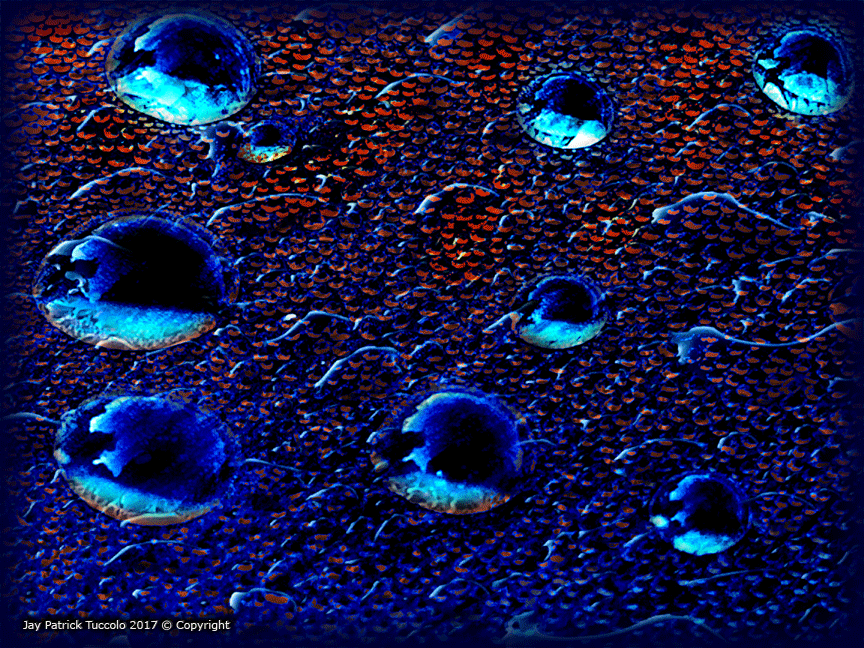 Dizzying Droplets - Jay P. Tuccolo 07-2017